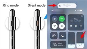 check silent ring switch