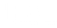 danish film institute white